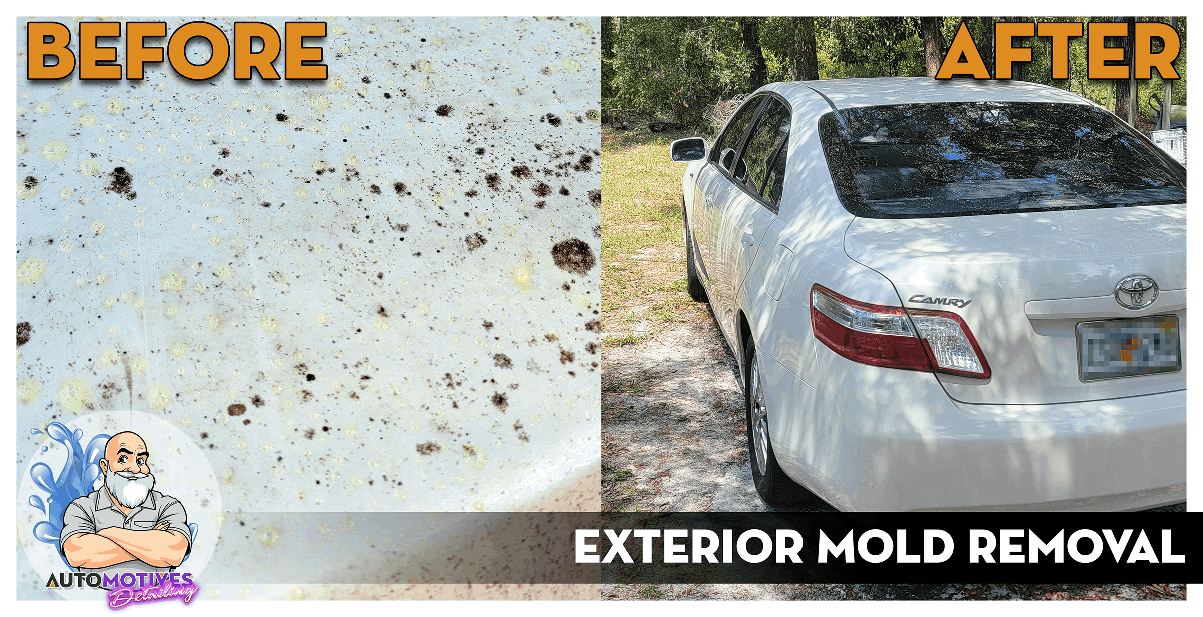 Before/After Exterior Mold Removal